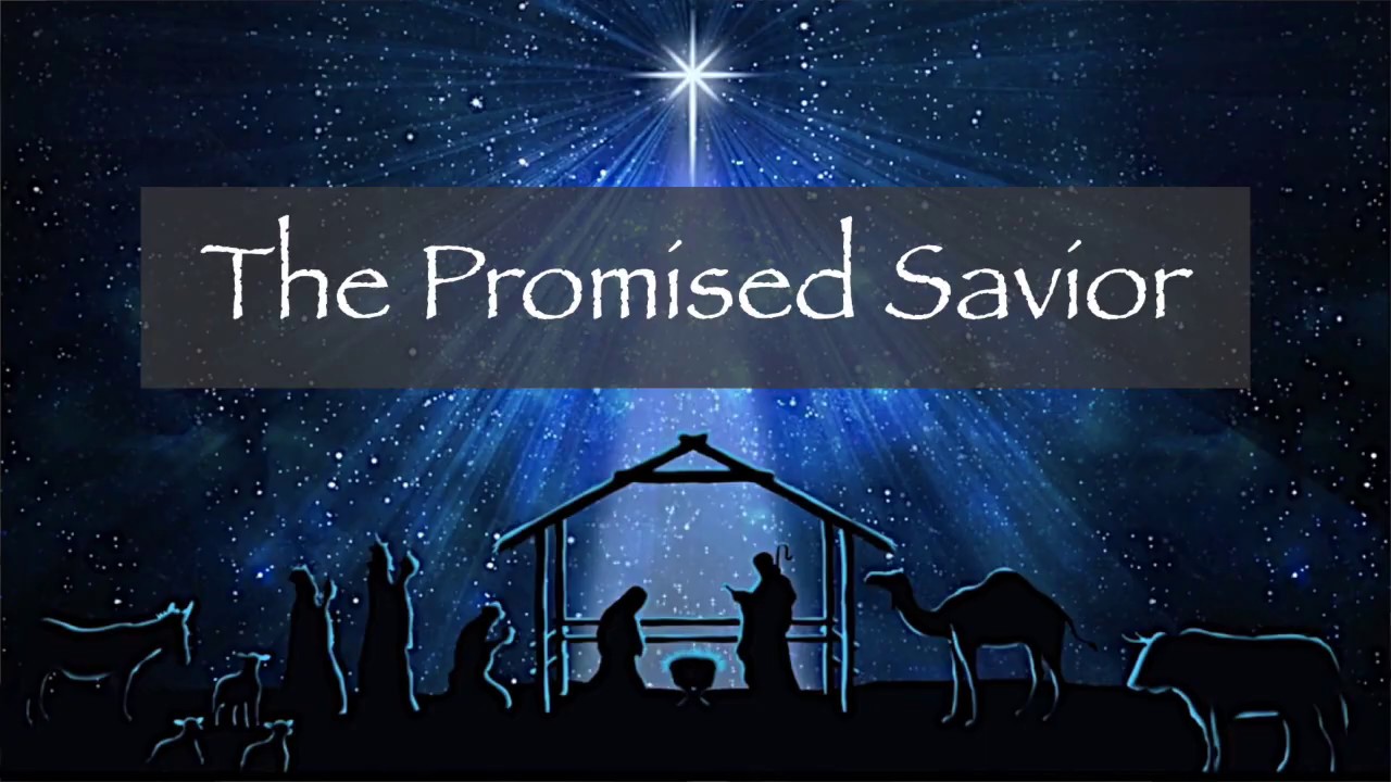 The Promised Savior - Isaiah 1:18-20