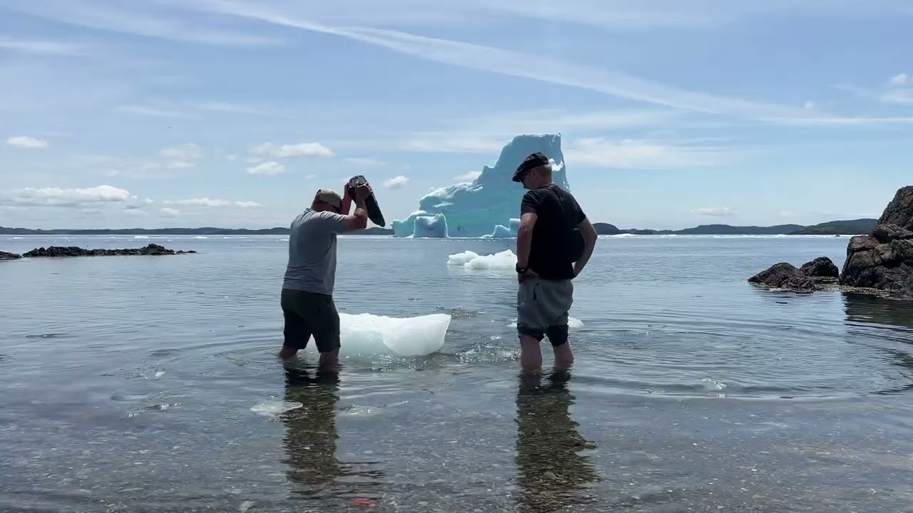 Twillingate’s Iceberg Season 2025 – Newfoundland’s Arctic Giants Return 🇨🇦