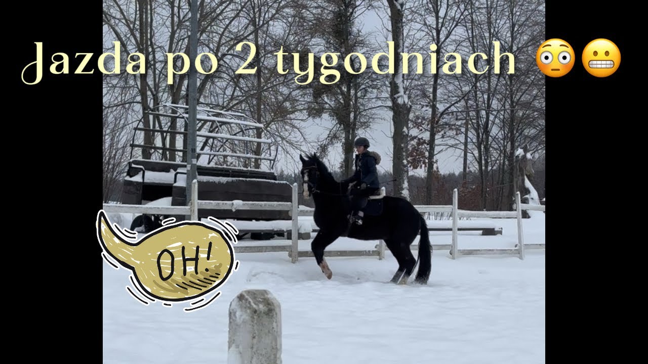 Jazda po 2 tygodniach!? Jogobella próbowała mnie zrzucić???!?!😳😬🤔🤔