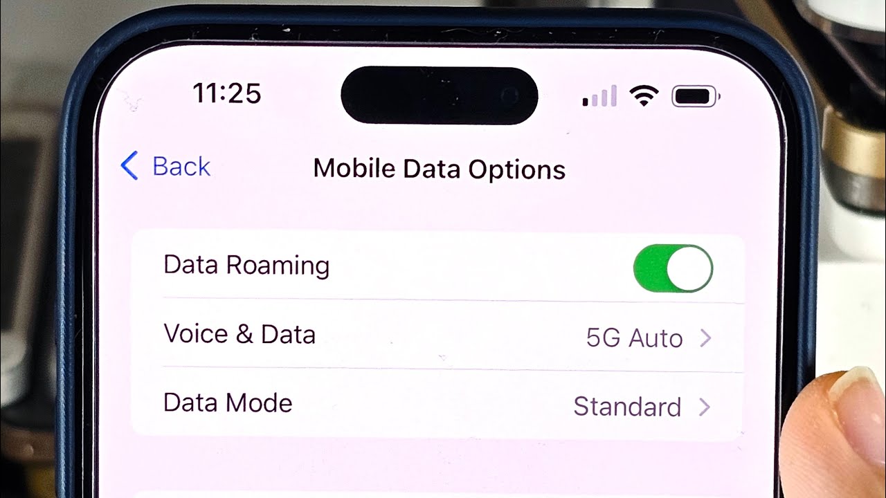 Как активировать роуминг на iPhone 15 Pro Max