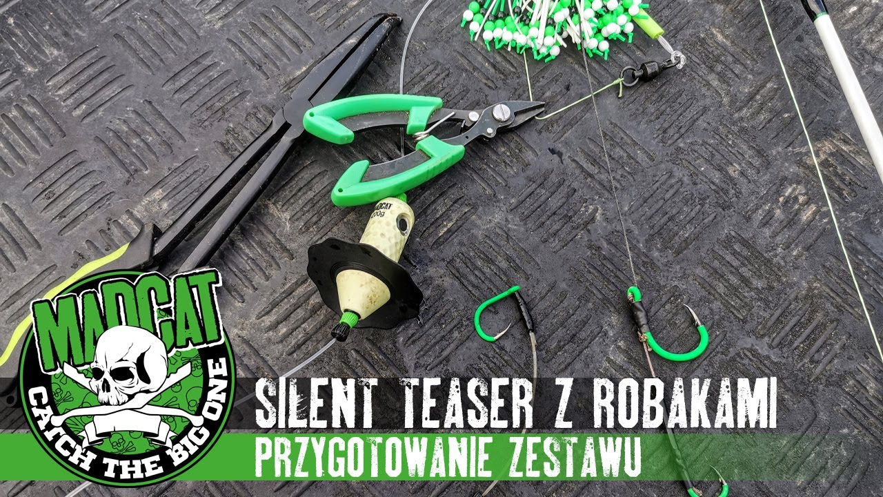 Łowienie na przynęty aktywne - #ASTATIC #Silent_Teaser z rosówkami //  #MADACT