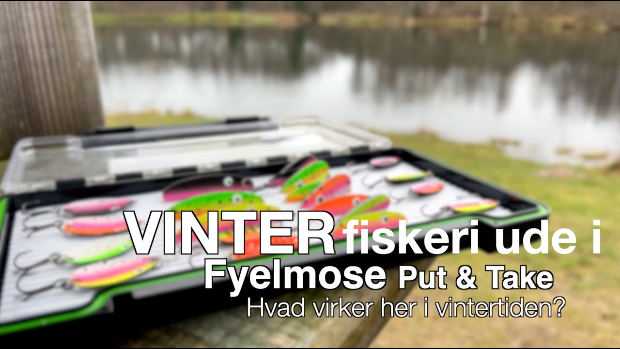 Put & Take vinterfiskeri, hvad fanger fisk om vinteren?