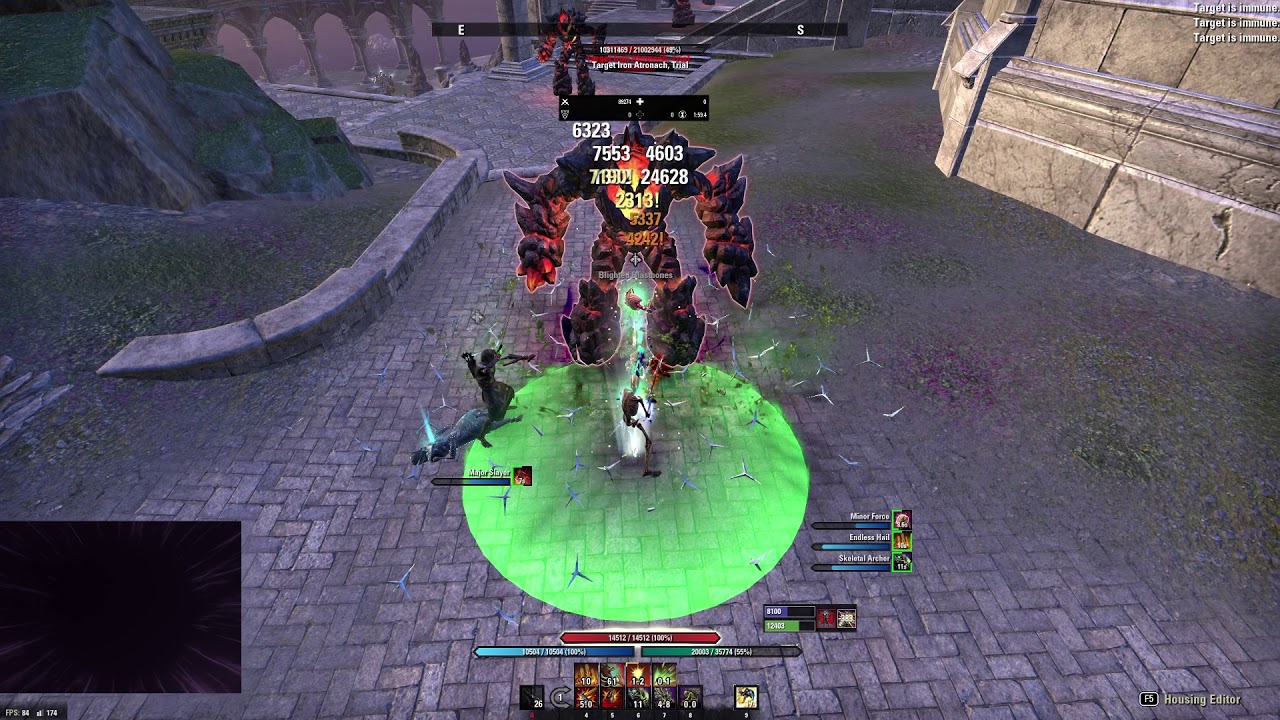 ESO - Stamina Necromancer 2H/Bow (101k+ on Raid Dummy) - See Description - Elsweyr