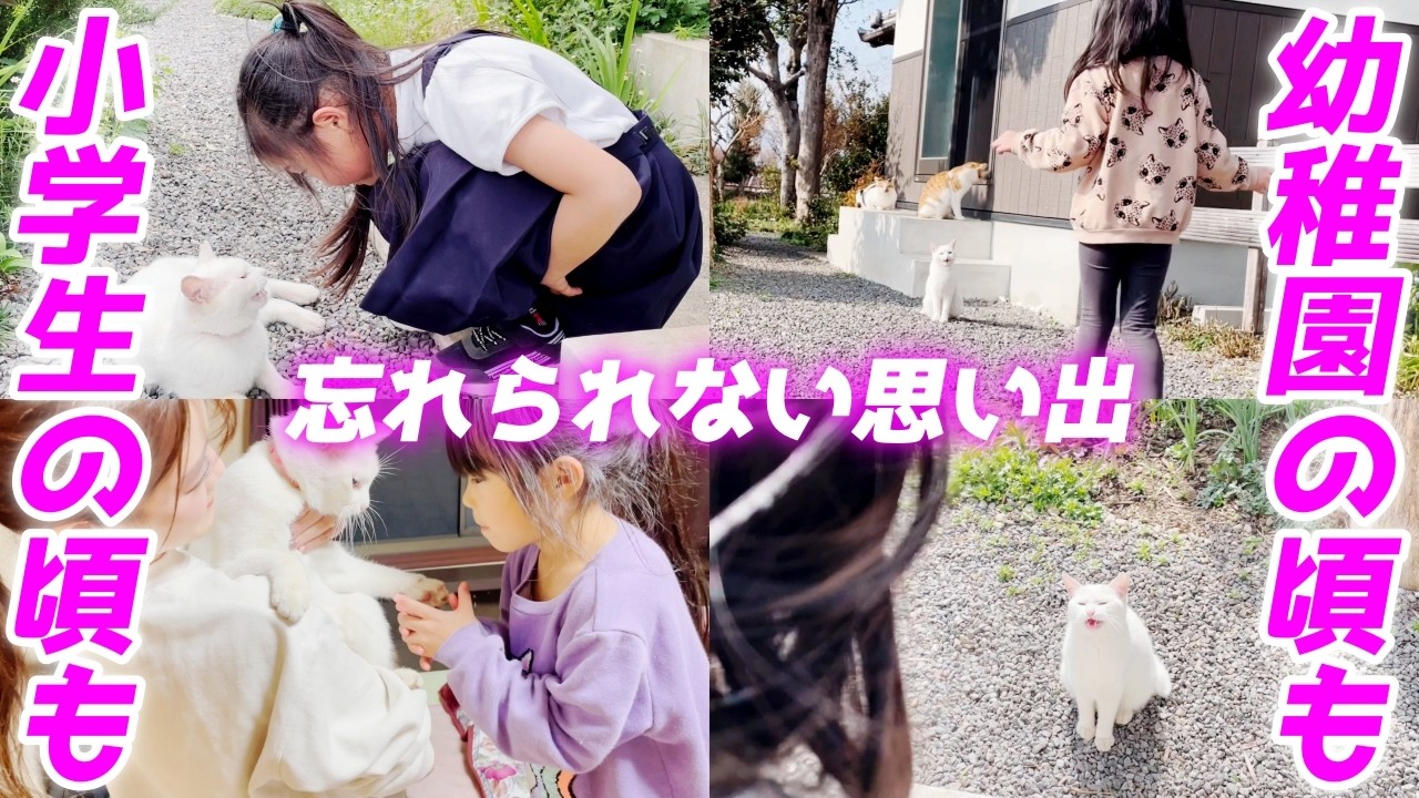 猫嫌いだった娘と人間嫌いだった庭子猫が仲良くなるまでの軌跡【ジョアとクウちゃんの可愛さ満載特集】