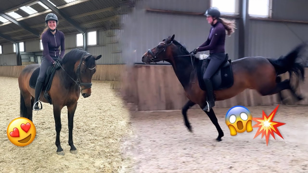 💥 SAAR RIJDT OP FLO! GAAT DIT GOED?! 💥 -VLOG70