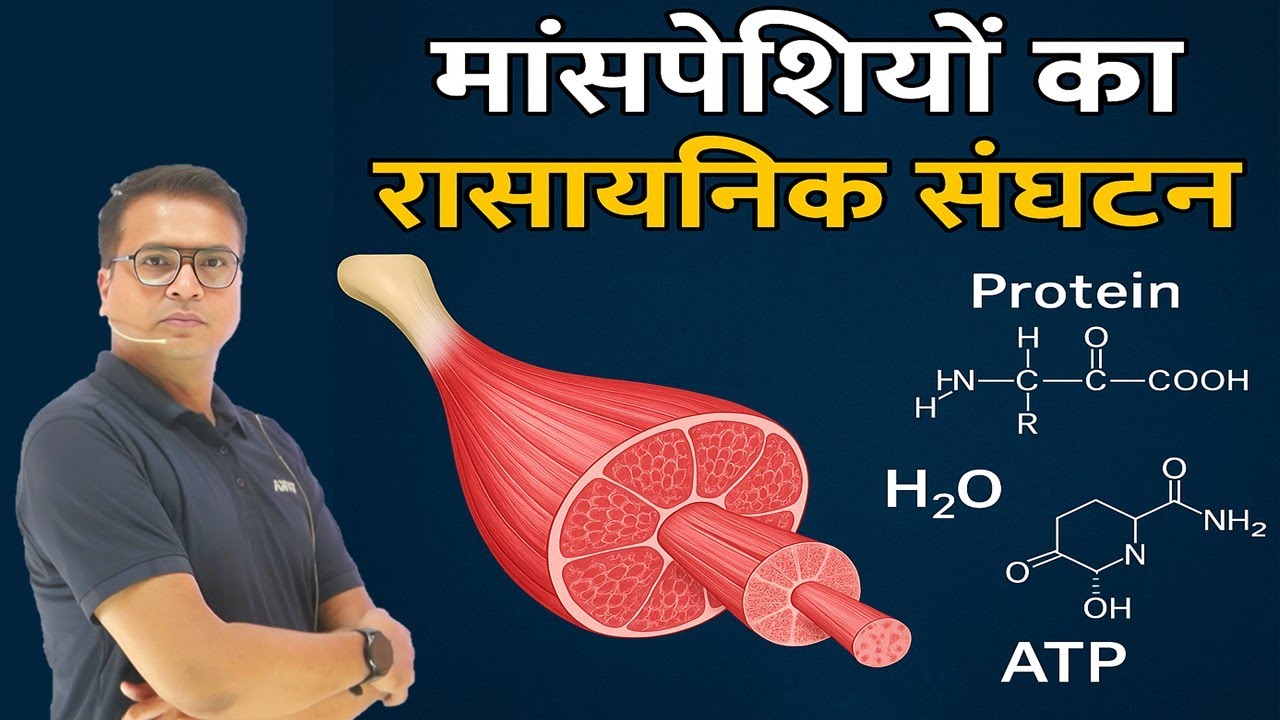 Muscle का Chemical Composition आसान भाषा में