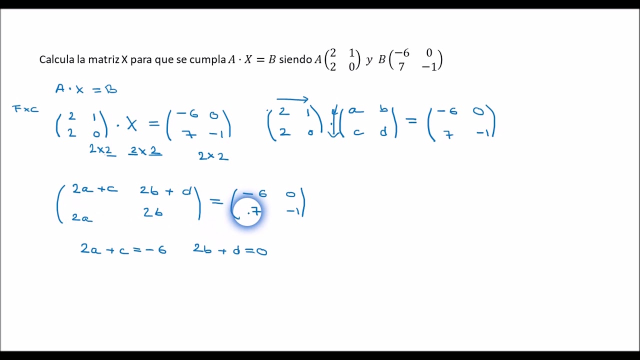 ECUACIONES MATRICIALES (1)