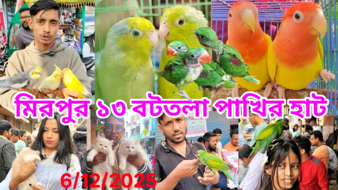 মিরপুর ১৩ বটতলা পাখির হাট | Mirpur Pakhir hat |Cat price in Bangladesh | Chondona Tiya Pakhir Dam 