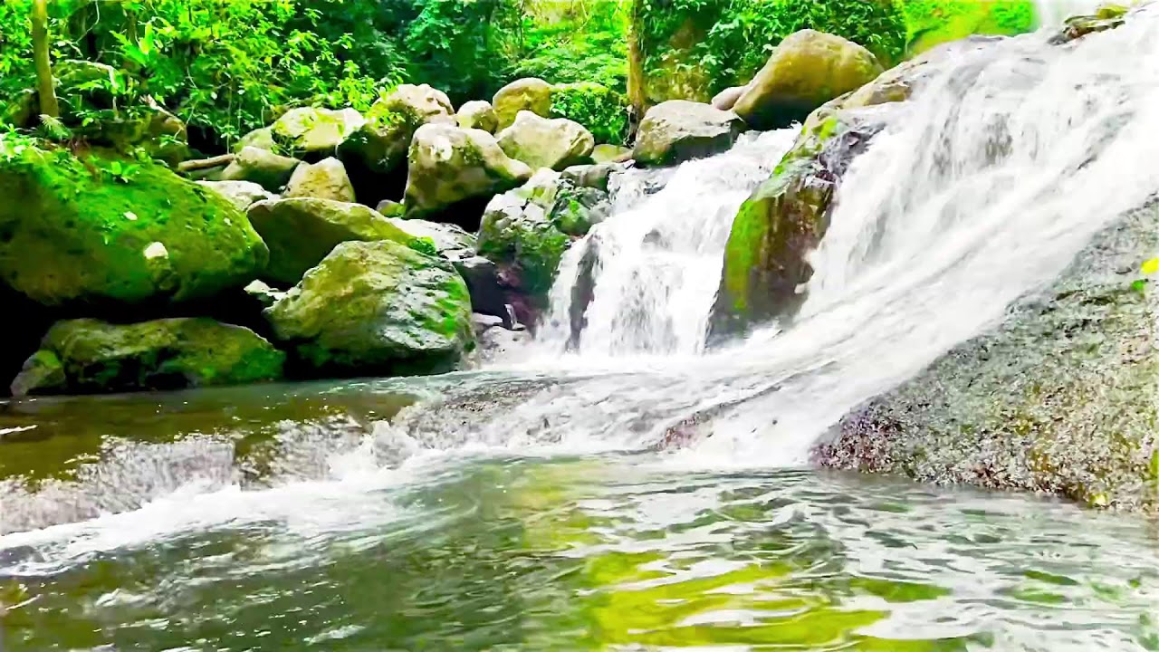 Cozy 10 HOURS NON-STOP! 🌿 Babbling Brook Sound over Rocks | Natural White Noise for Sleep