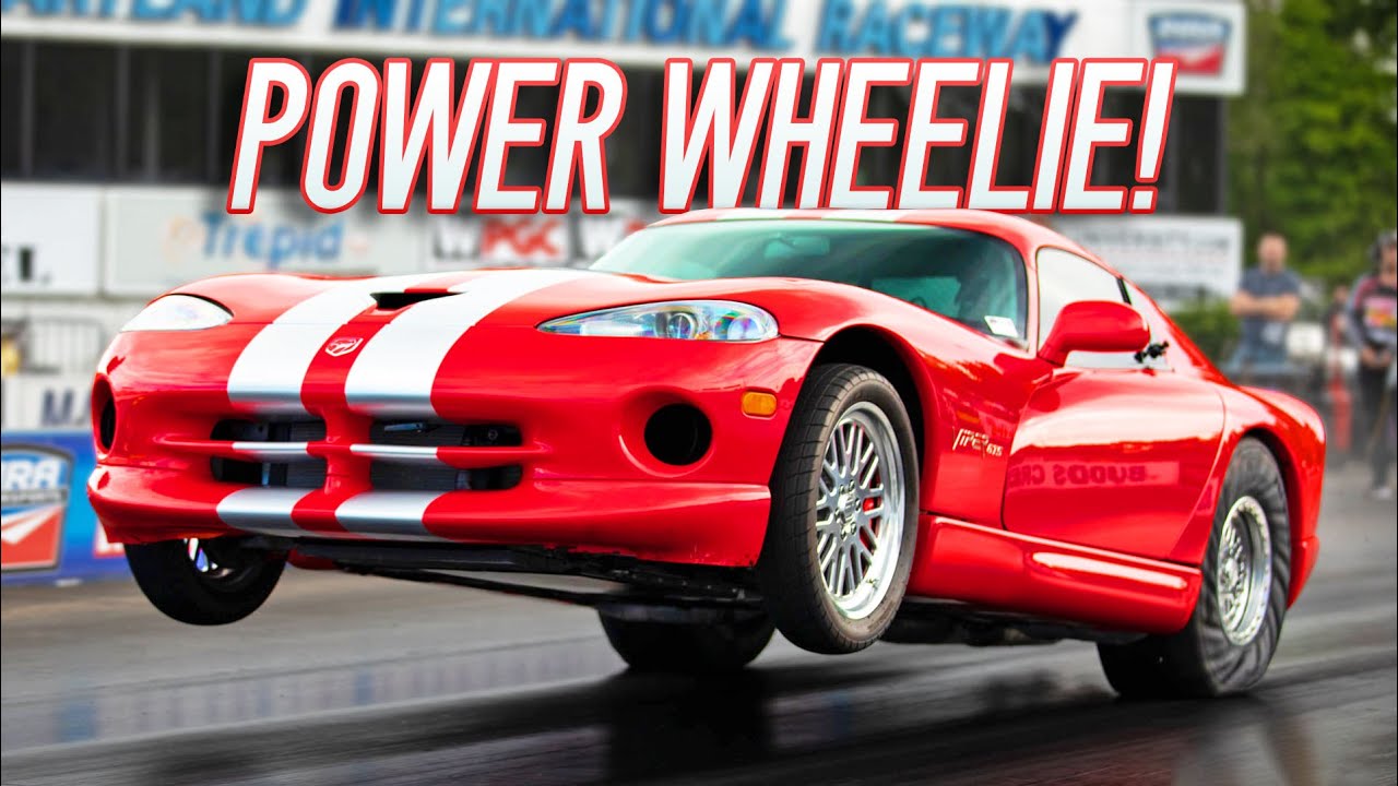 World’s QUICKEST Viper! | 9 year old record BROKEN!