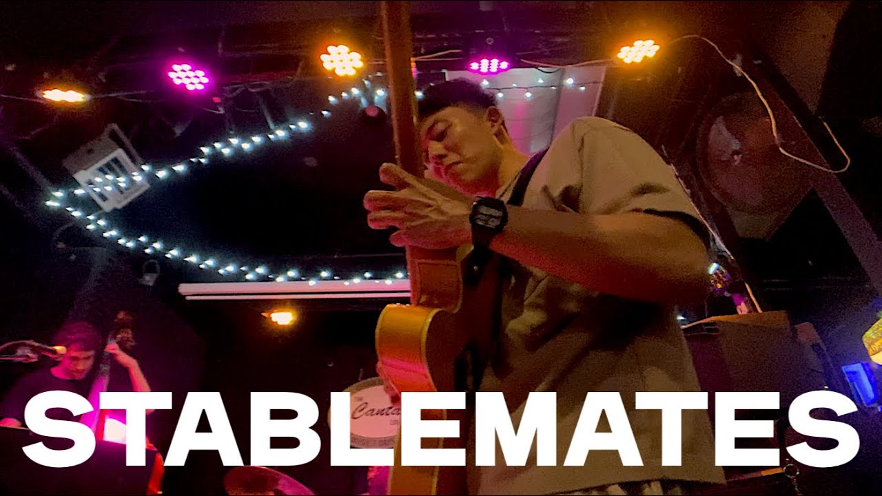 Stablemates - Live Guitar Solo