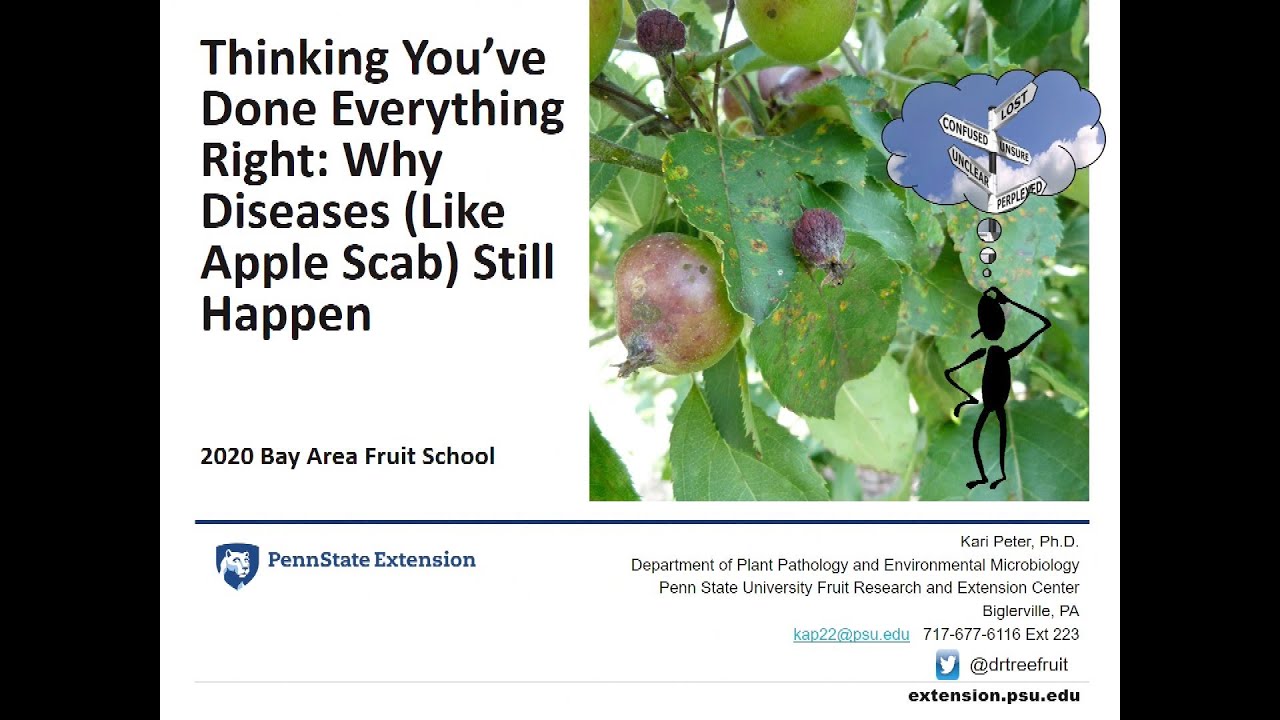 Why Diseases, like apple scab, Still Happen