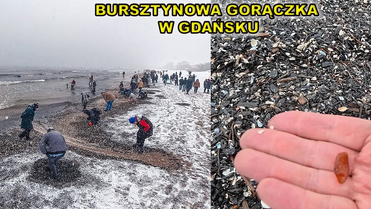 Bursztynowa gorączka na plaży w Gdańsku w Brzeźnie. 31.12.2025.