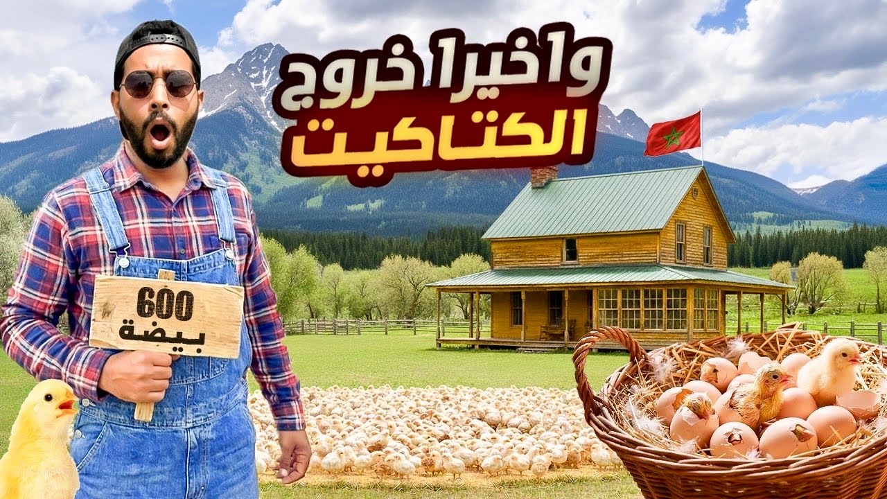 أخيراً خرجو الكتاكيت🐣/600 ￼￼بيطة = ‏كتاكيت 😍