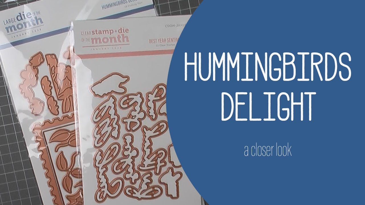 Spellbinders - Hummingbirds Delight | Closer Look | Unboxing