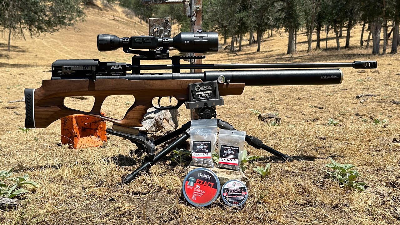 AEA / FOX AIR POWER .35 CALIBER CHALLENGER ELITE BULLPUP OUTDOOR SHOOTING DAY 🎯