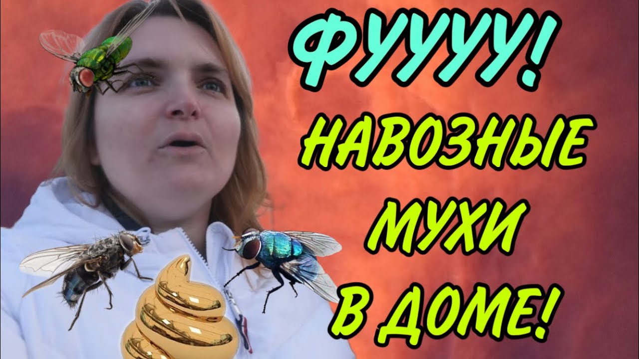 ШОК! НАВОЗНЫЕ МУХИ В ДОМЕ. VREDINA LIFE. ОБЗОР.