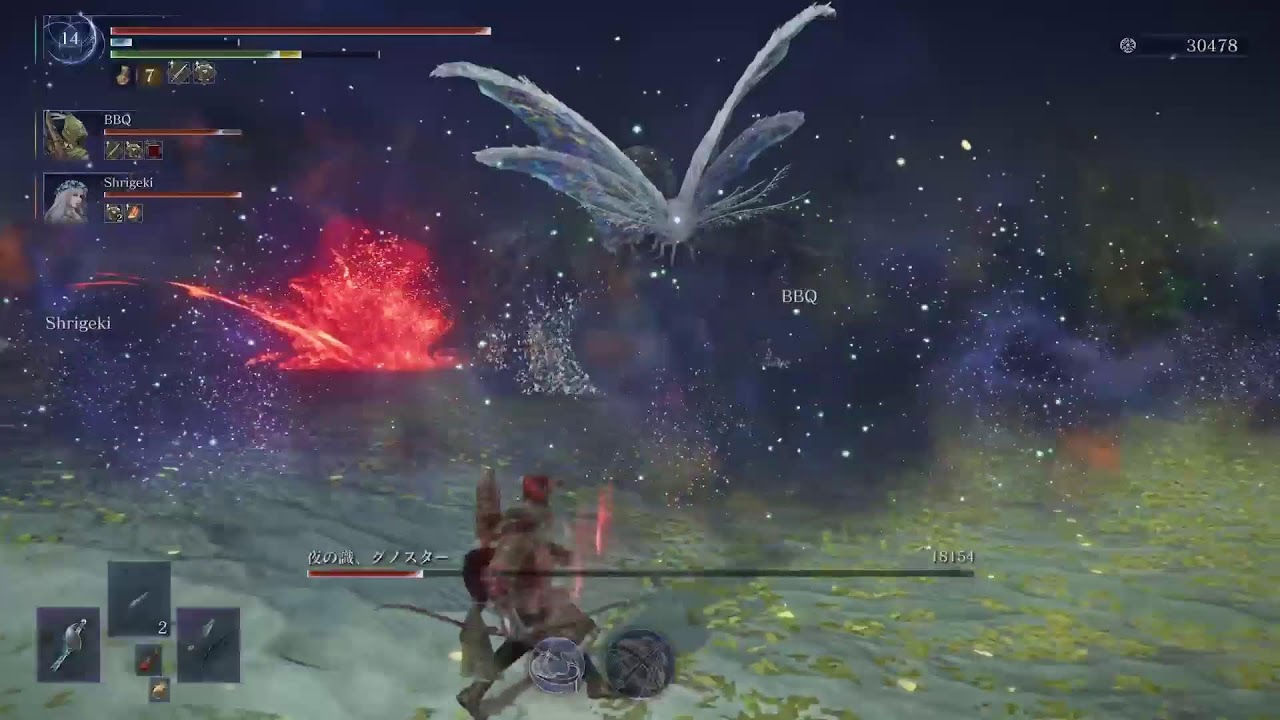ELDEN  RING  NIGHTREIGN DLC環境で100連勝目指す　29連勝～