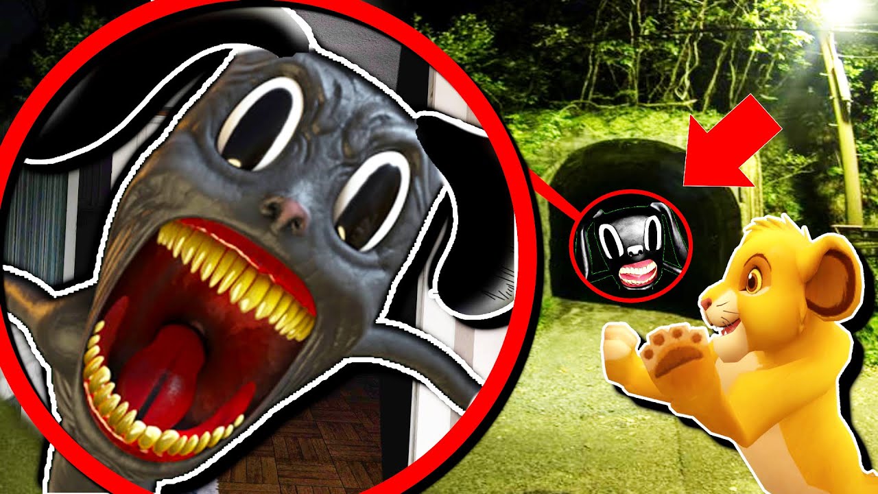 DO NOT buy Cursed CARTOON DOG off the DARK WEB.. (BAD IDEA)
