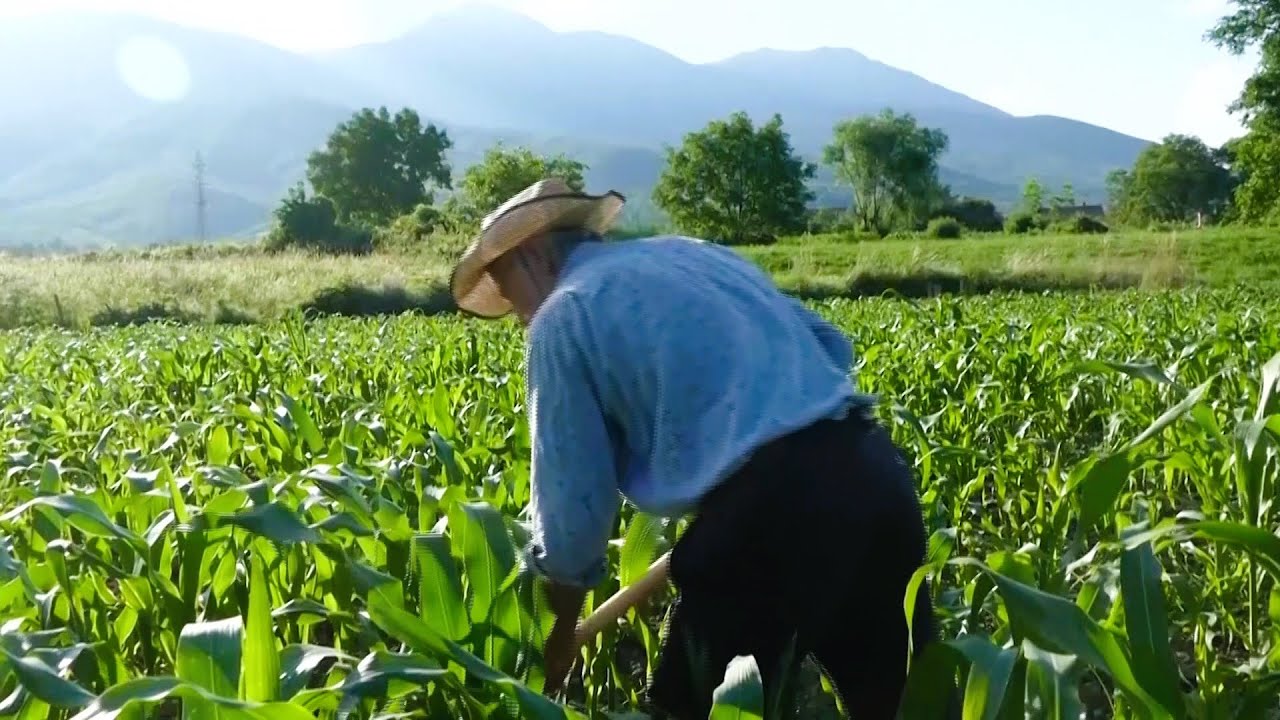 Begatia e JETES NE FSHAT - Reportazh