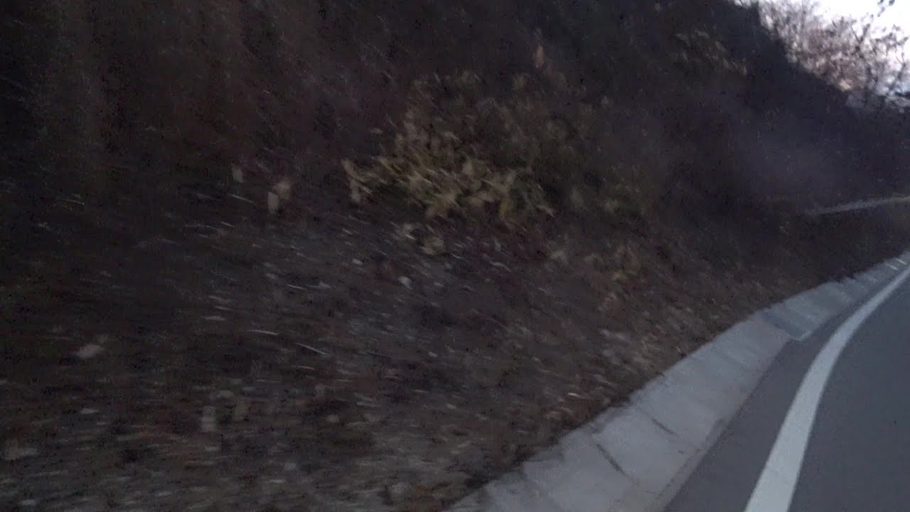 Nature Wonderland; going on a reconnaissance trip to find good spots to get wild vine roots 20260117