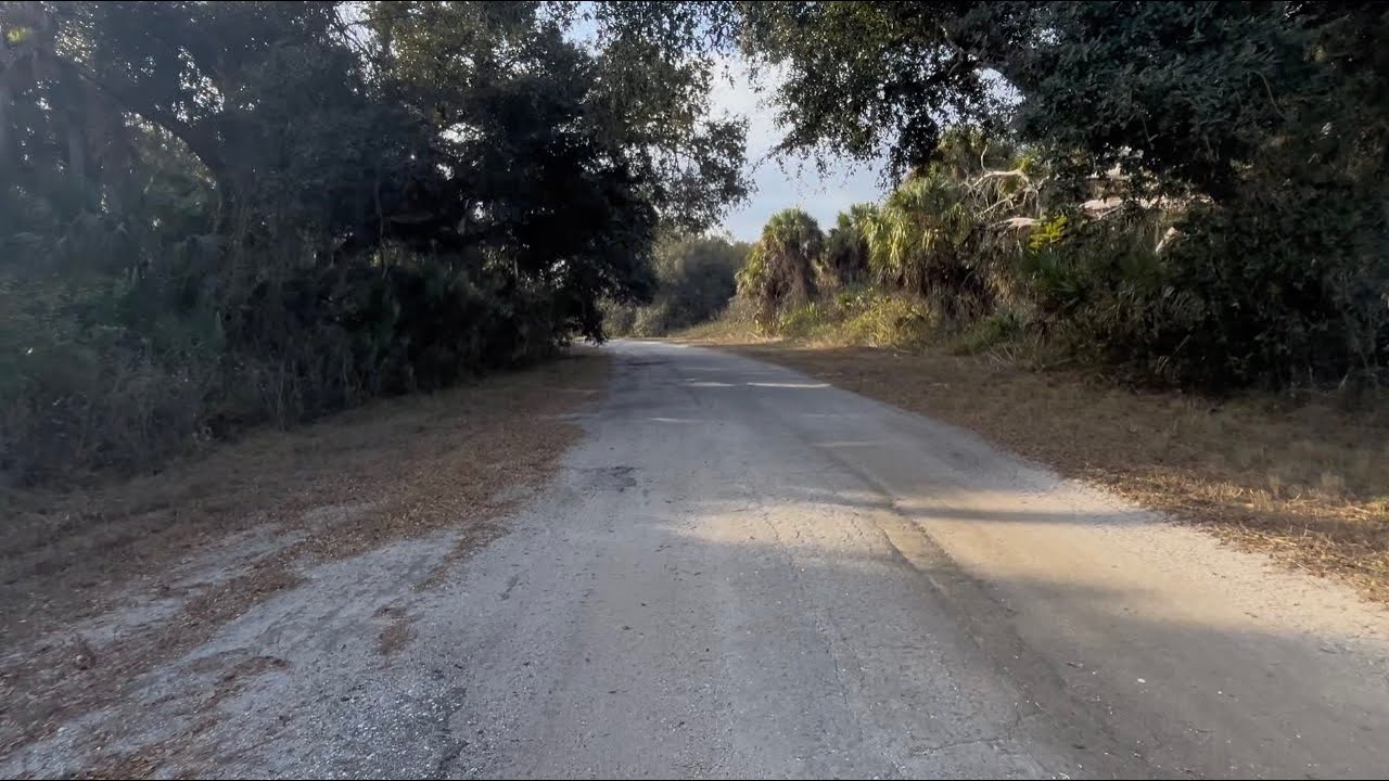 🌿 Peaceful Nature Walk - Old Florida Beauty