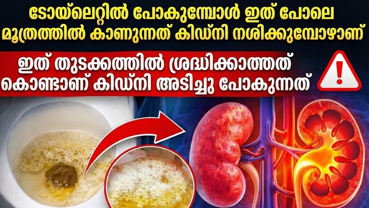 ടോയ്‌ലറ്റിൽ പോകുമ്പോൾ മൂത്രം ഇങ്ങനെ വന്നാൽ… കിഡ്‌നി നശിക്കാൻ മുന്നറിയിപ്പ്! Dr Bhagya