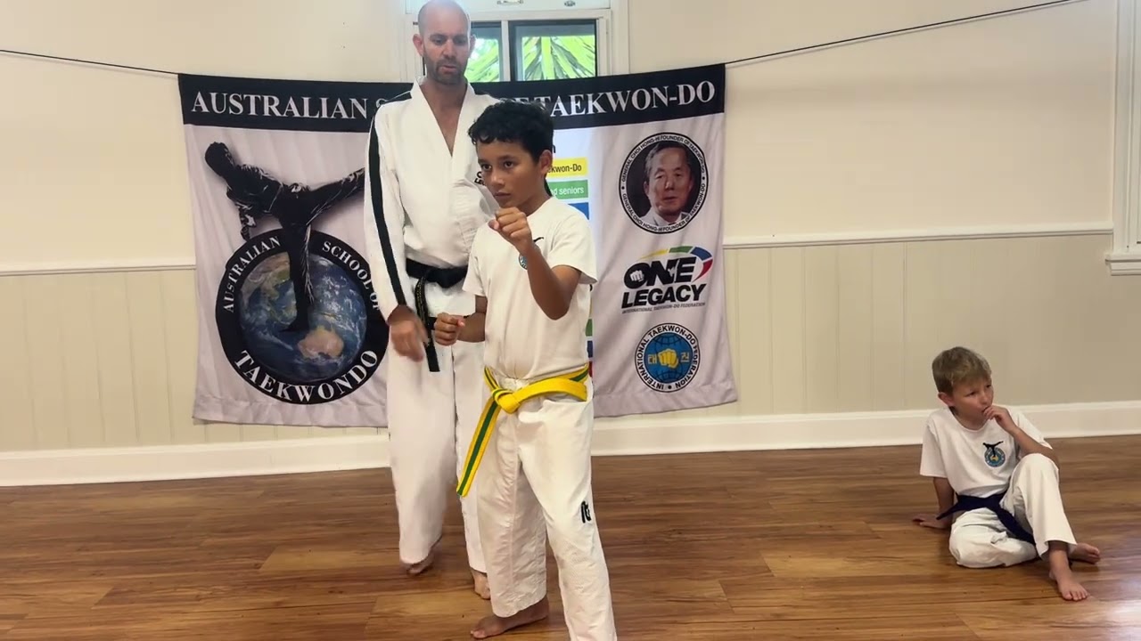 Online Taekwon-do lesson 40