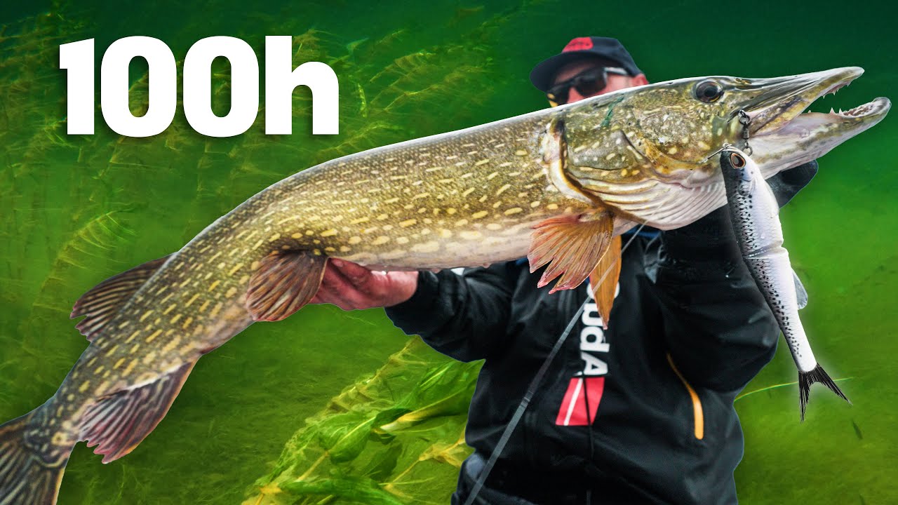 100 Hours to Catch the 10 BIGGEST Pike 🏆 (Day 3)
