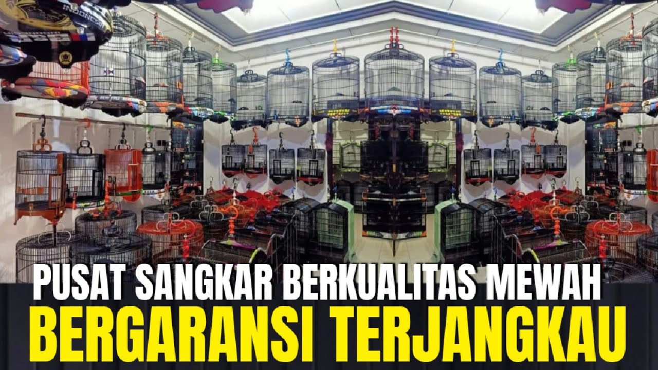 GARANSI MURAH ! SURVEY HARGA SANGKAR TERBARU TH 2025 DI LUAR PASAR BURUNG PRAMUKA KIOS RIZKI SANGKAR