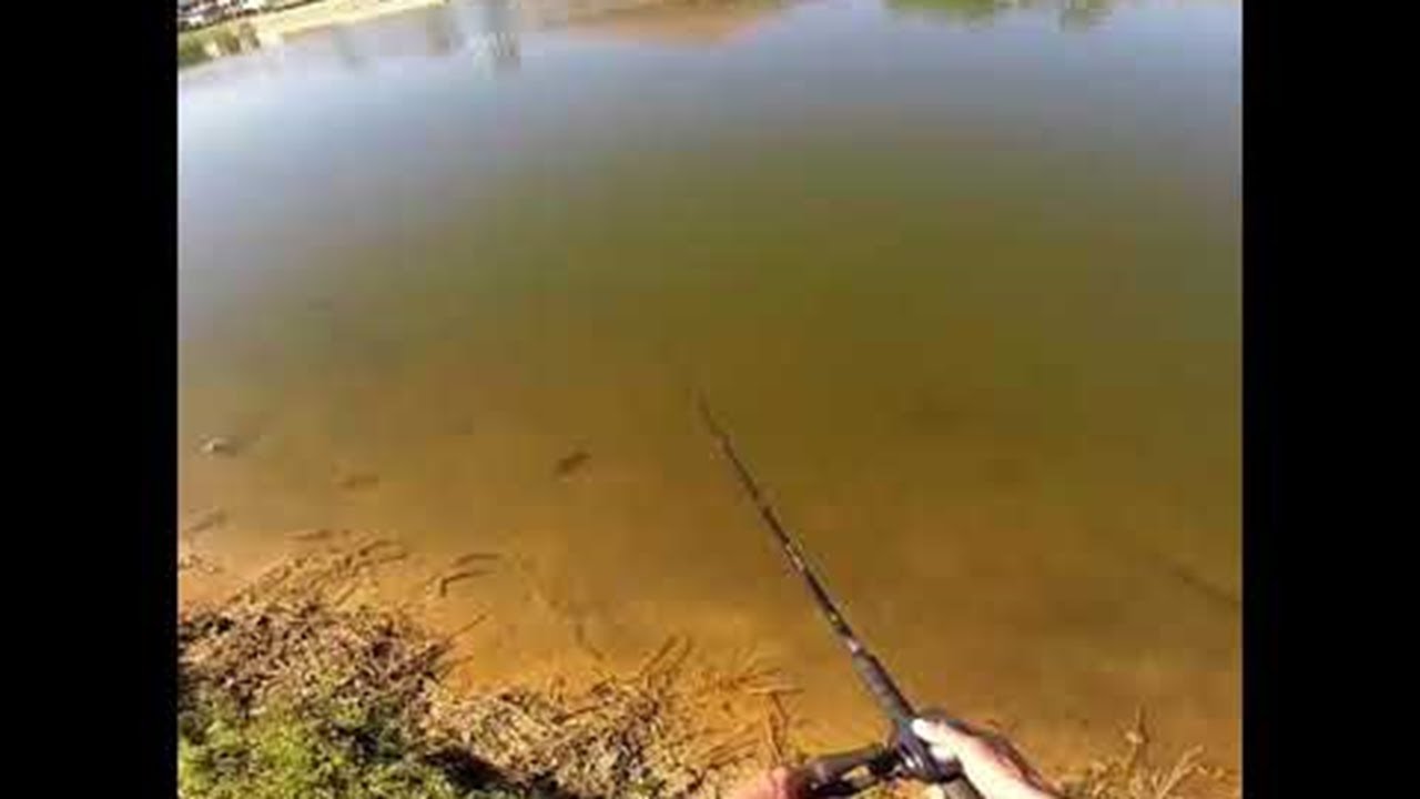 Unexpected Fishing Visitor || ViralHog