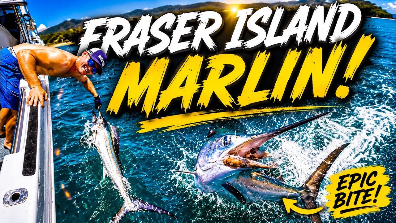 NEARLY SPEARED BY A MARLIN! FISHING FRASER ISLAND!