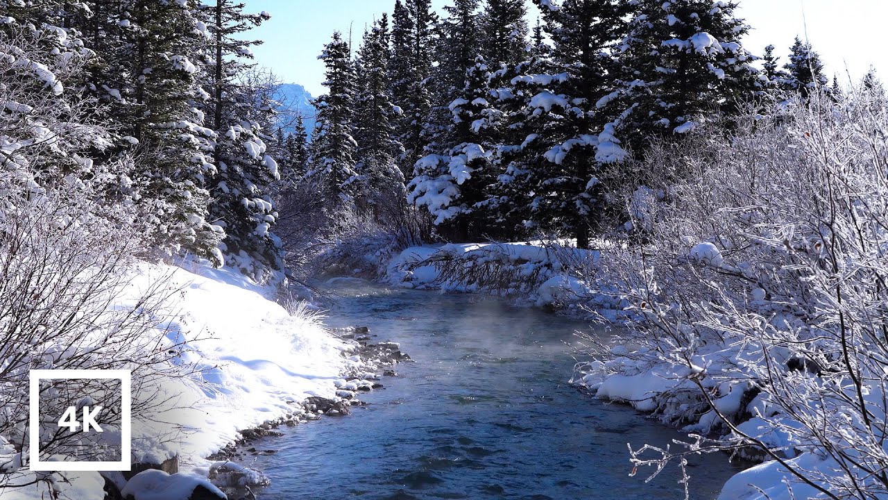 4K Misty Stream in Snowy Winter Forest, Canadian Rockies | River Ambience & Water Sounds for Sleep