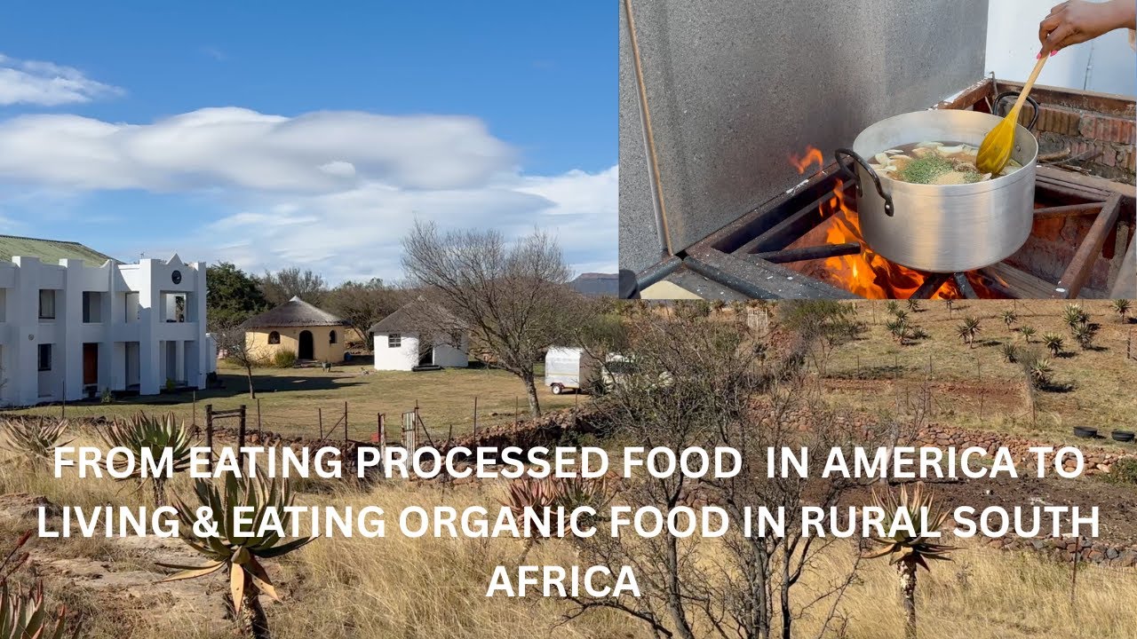 FROM EATING PROCESSED FOOD IN AMERICA TO LIVING & EATING ORGANIC FOOD IN RURAL SOUTH AFRICA