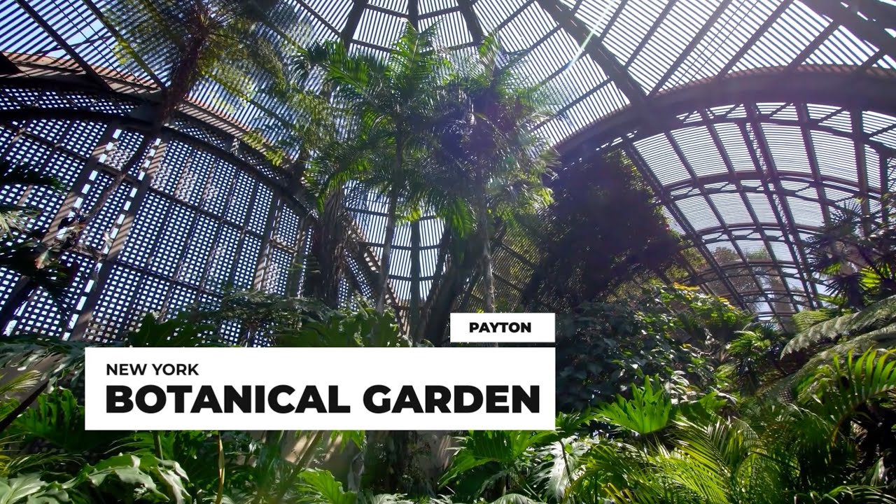 Exploring the Stunning Beauty of New York Botanical Garden: A Tour of its Top Attractions