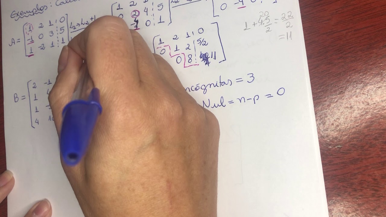 Aula 4: Matriz na Forma Escada.