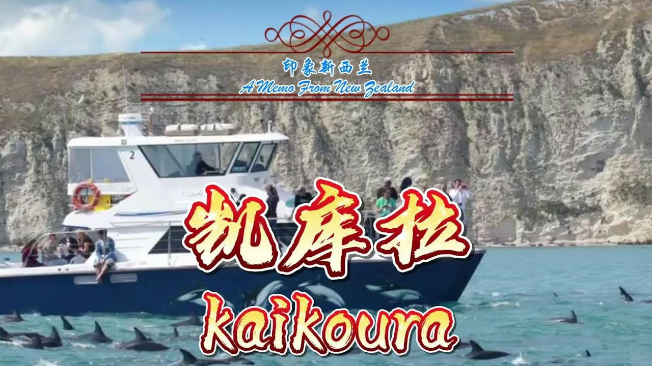 印象新西兰&mdash;凯库拉/凯库拉最佳龙虾料理 Kaikoura
