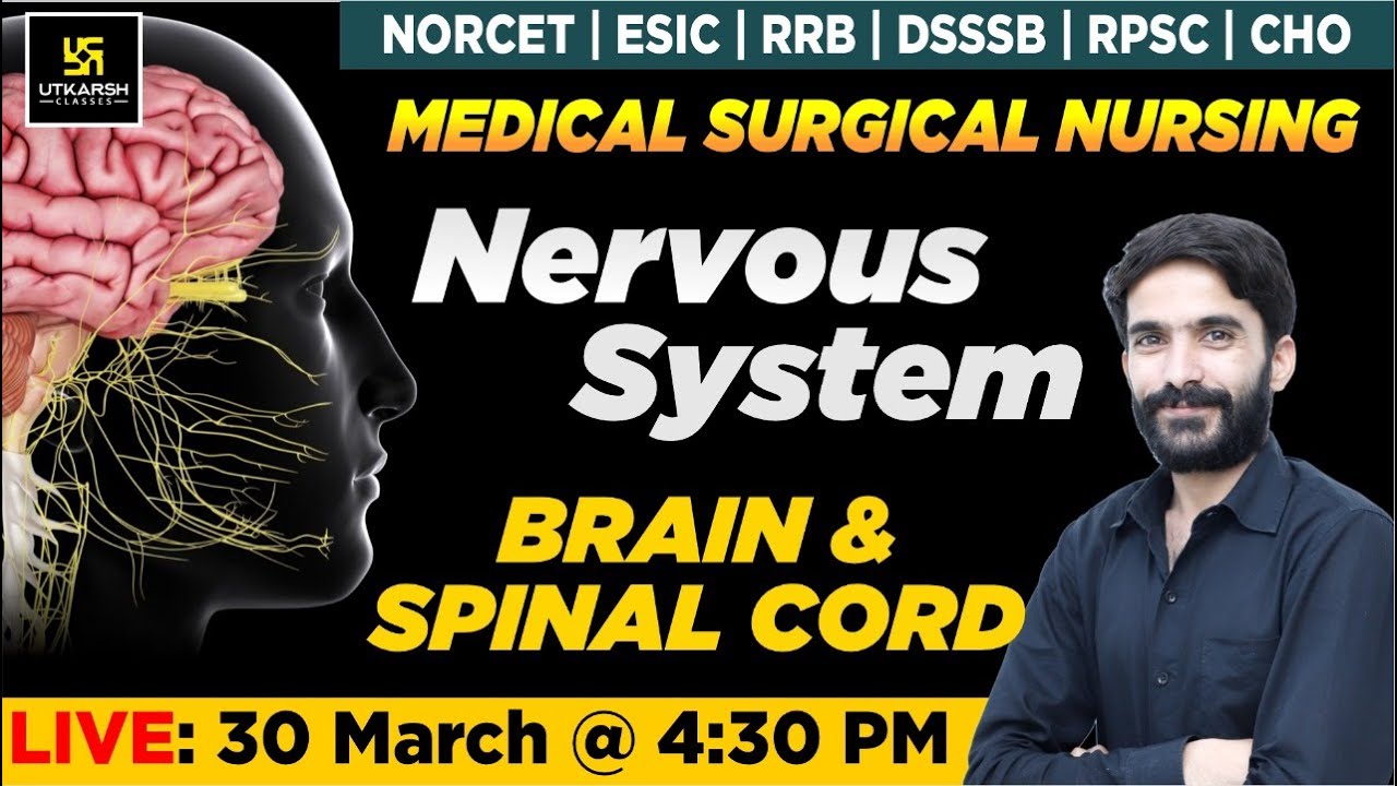 Nervous System - Brain & Spinal Cord | For NORCET | ESIC | RRB | DSSSB | RPSC | CHO Exams |Raju Sir