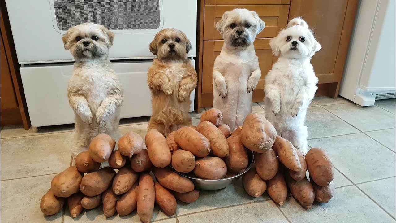 Chia sẻ món ăn đặc sản làm tại nhà cho các bé|Share home-made specialties for the children.