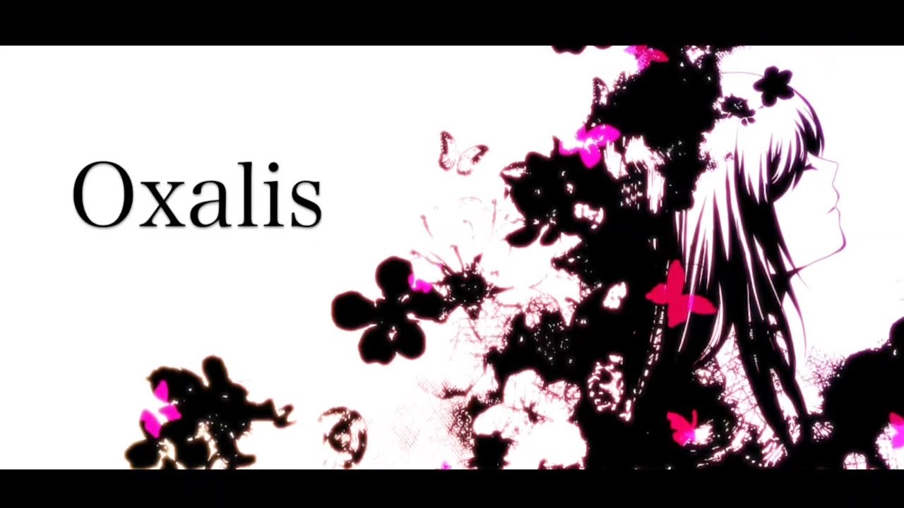 【初音ミク】Oxalis【オリジナル曲】