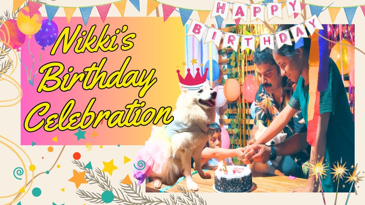 നിക്കിയുടെ 3d Birthday Celebration | പിന്നെ എല്ലാവർക്കും നിക്കിയുടെ ഒരു Surprise