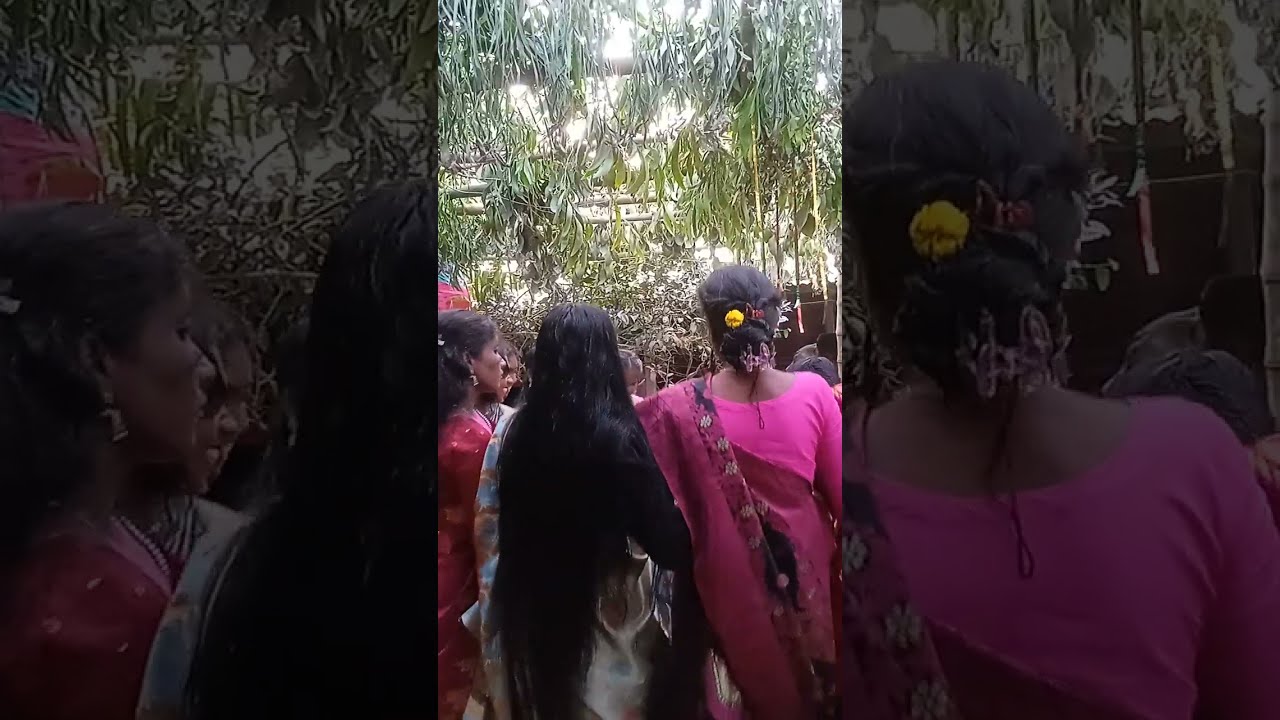 পাকড়ি এর মেয়েদের অসাধারণ নাচ #Santali #bapla #baplasogoy 