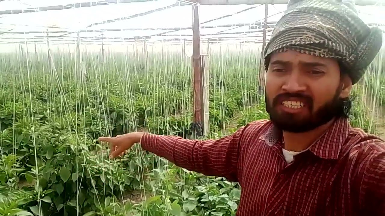 Rizwan Ahmad Shemla March Ka vlog |Shemla March Kesi hoti hai