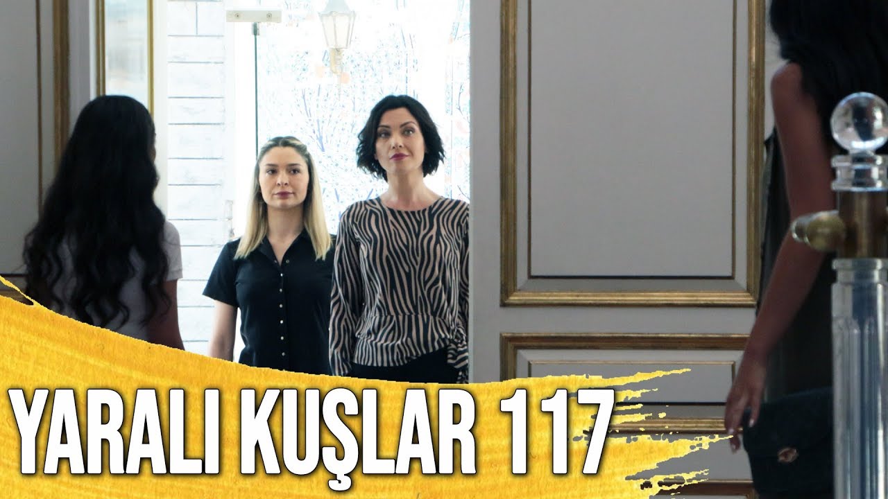 Yaralı Kuşlar 117. Bölüm