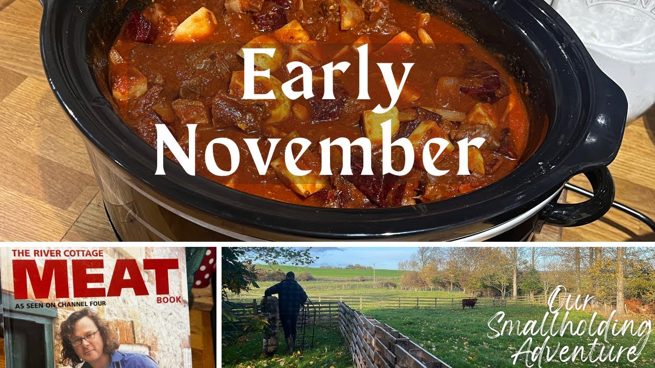 Harvesting Winter Food & Making a Hearty Borscht (with a twist) - Smallholding November