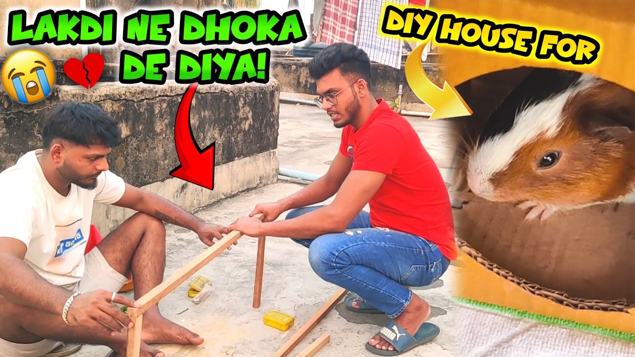 Guinea Pigs 🐹 Ka Ghar Banaane Chala Tha Par Lakdi Ne Dhokha De Diya! 🥲🏠 | DIY Guinea Pig House Vlog