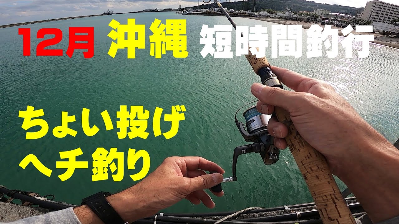 沖縄の漁港で短時間釣行　「ちょい投げ釣り」「ヘチ釣り」。4種類の魚をGET!しました。
