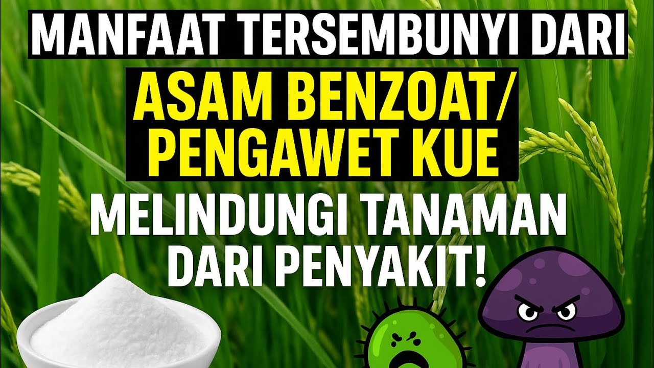HARGA MURAH UNTUK MELINDUNGI TANAMAN DARI HAMA/PENYAKIT DENGAN ASAM BENZOAT