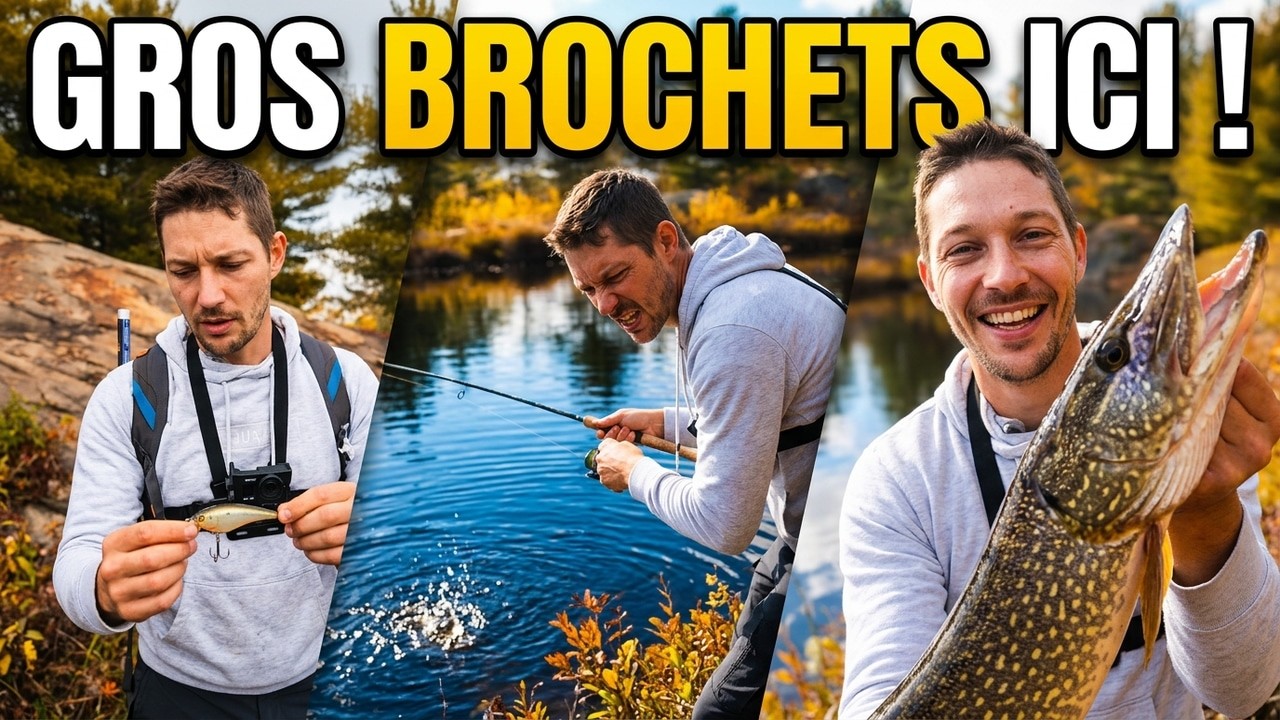 Comment trouver les spots de pêche au brochet en automne ? Un endroit secret !