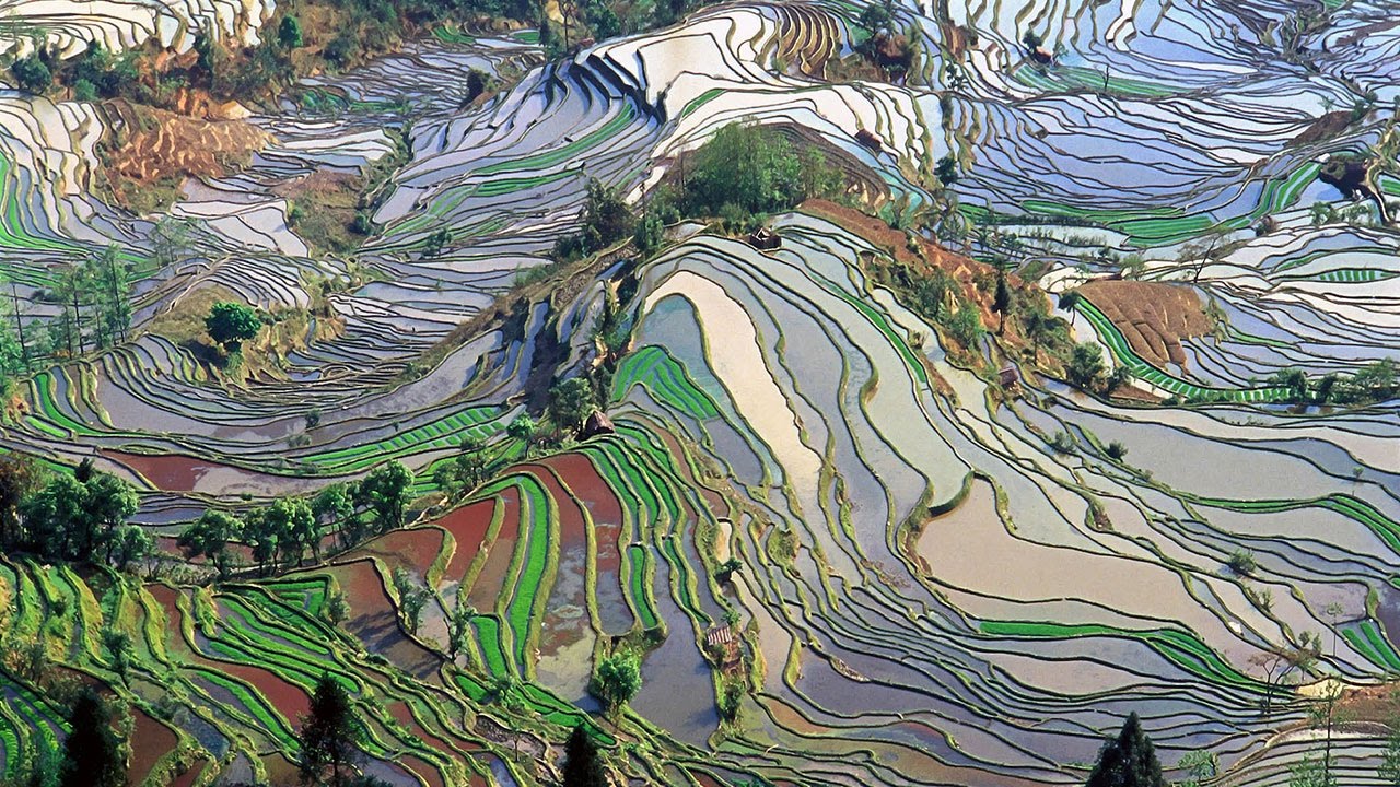 What is Political Ecology? | Culture, Power, and Global Environment